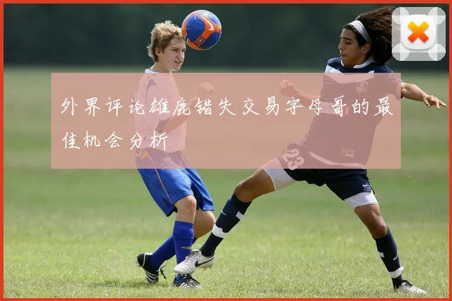 外界评论雄鹿错失交易字母哥的最佳机会分析